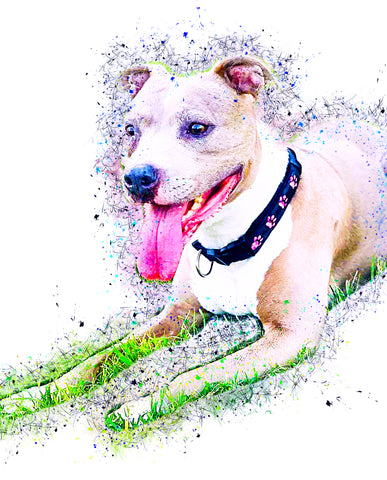 Colored Pen Sketch